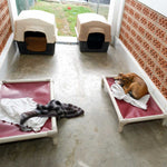 Feed a rescue animal