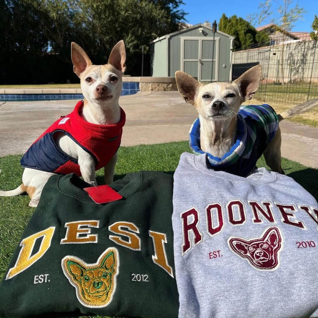Custom Pet Varsity Style Sweater (Large Embroidery) – Unique Paws